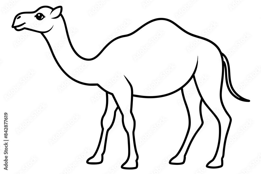 camel outline vector illustration camel outline vector illustration
