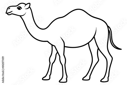 camel outline vector illustration