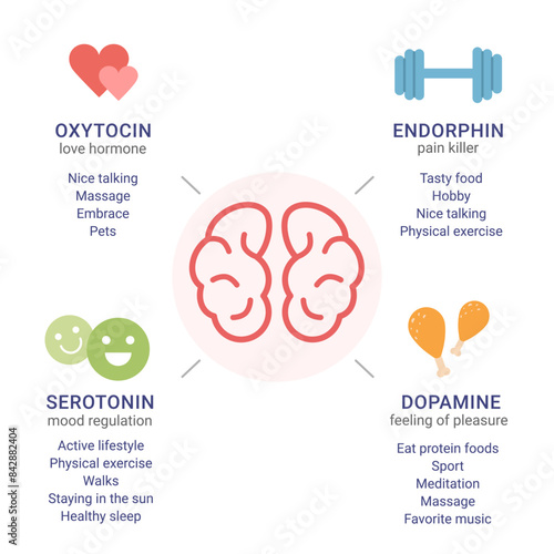 Scheme of happiness hormones oxytocin, serotonin, dopamine, endorphin. Brain biochemistry