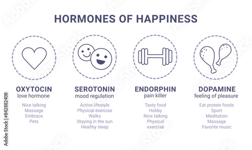 Scheme of happiness hormones icons of oxytocin, serotonin, dopamine, endorphin isolated on white background. Brain biochemistry