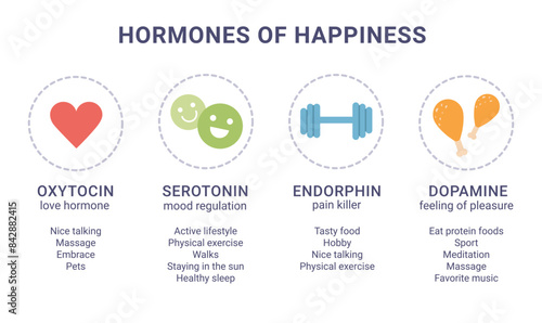 Scheme of happiness hormones icons of oxytocin, serotonin, dopamine, endorphin isolated on white background. Brain biochemistry
