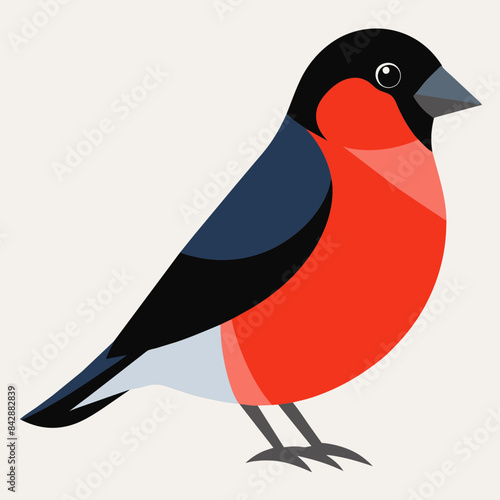 vector image of bullfinch