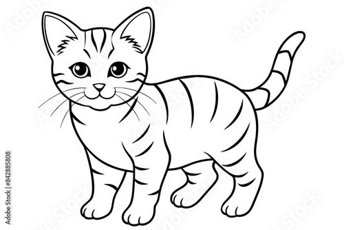 kitten adult outline art vector illustration © Jutish