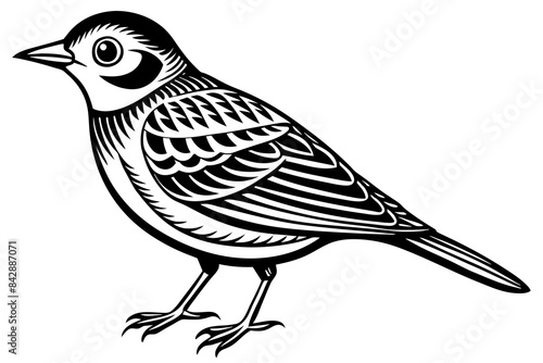lark bird line art vector illustration