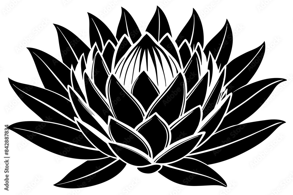 king protea flower silhouette vector illustration king protea flower silhouette vector illustration
