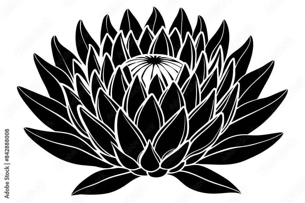 king protea flower silhouette vector illustration king protea flower silhouette vector illustration