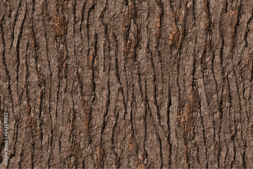 long bark texture background