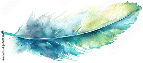 blue feather isolated on transparent background.