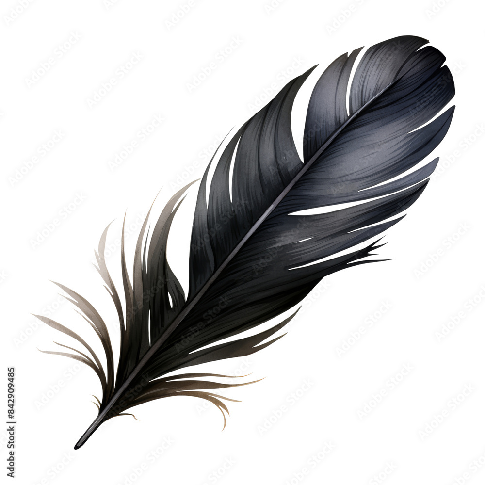 black feather watercolor isolated on transparent background cutout black feather watercolor isolated on transparent background cutout
