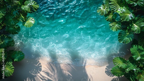 An aerial shot captures the peaceful interface of gentle waves washing onto a sandy beach framed by palms