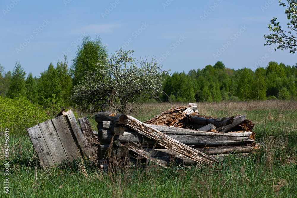 Ruins of a traditional village house. The old central residential architecture of Russia is destroyed and abandoned. Log cabin against a background of gray sky and green grass Ruins of a traditional village house. The old central residential architecture of Russia is destroyed and abandoned. Log cabin against a background of gray sky and green grass