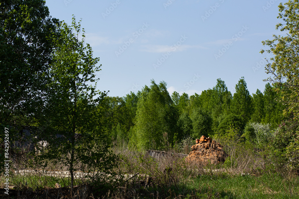 Fototapeta premium Ruins of a traditional village house. The old central residential architecture of Russia is destroyed and abandoned. Log cabin against a background of gray sky and green grass