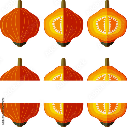Set of Golden Nugget squash. Winter squash. Cucurbita maxima. Fruits and vegetables. Flat style. Isolated vector illustration.