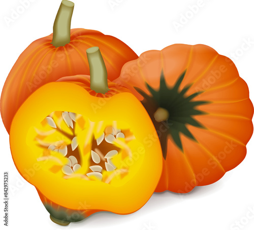 Whole and half of Golden Nugget squash. Winter squash. Cucurbita maxima. Fruits and vegetables. Isolated vector illustration.