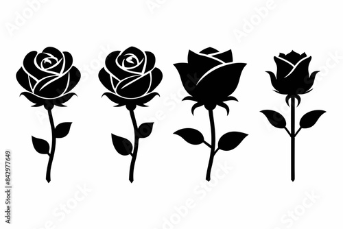 many roses silhouette vector illustration