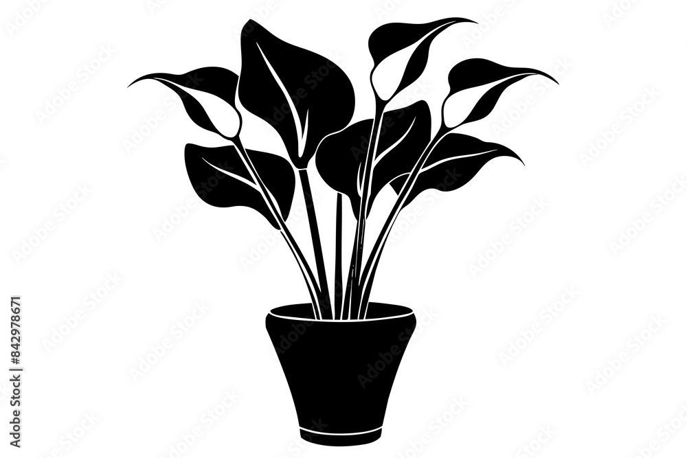 calla lily flower silhouette vector illustration calla lily flower silhouette vector illustration