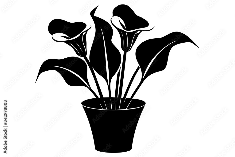 calla lily flower silhouette vector illustration calla lily flower silhouette vector illustration