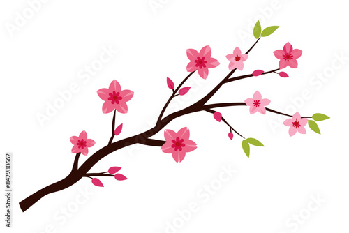 flower vector pink nature illustration