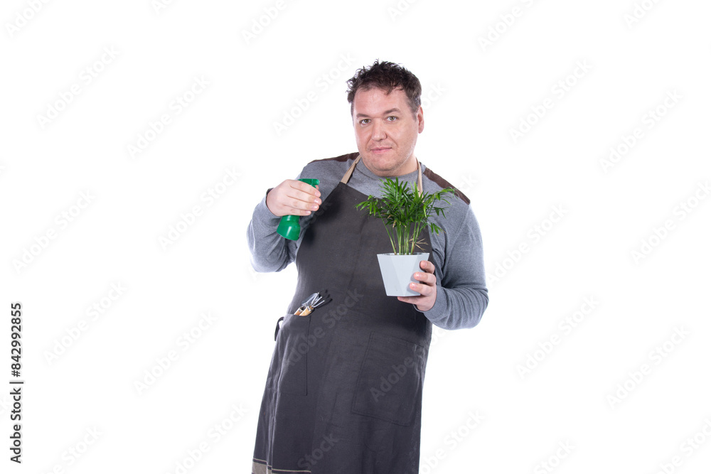 A man plants flowers in pots. White background. A man plants flowers in pots. White background.
