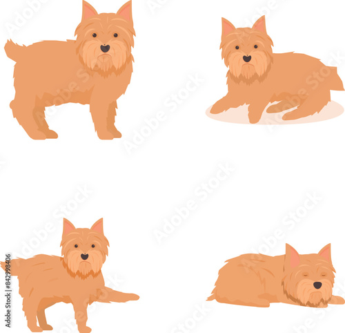 Illustration collection featuring adorable yorkshire terriers in different playful and resting poses