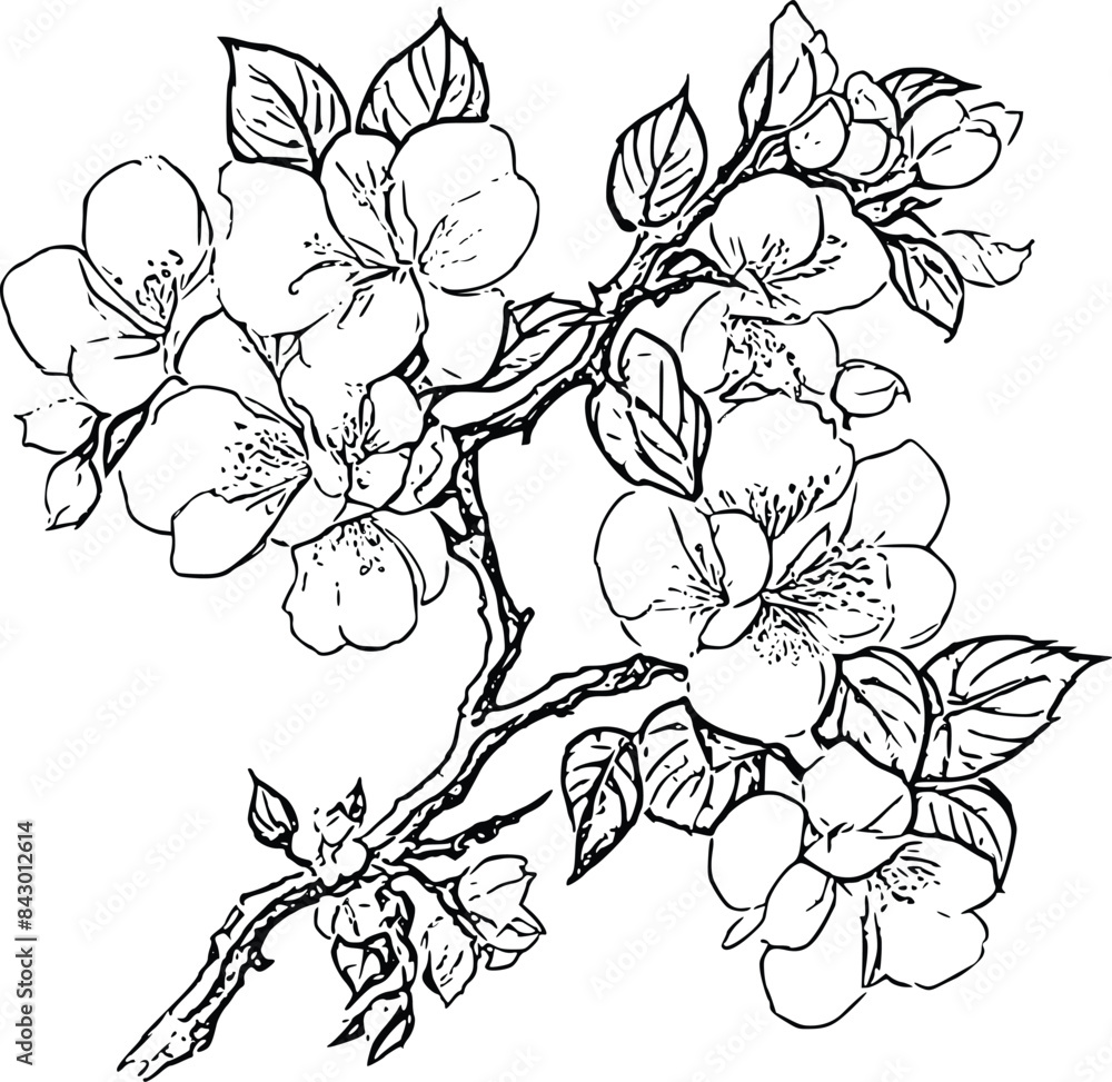 Fototapeta premium cartoon Japonica flower line art 