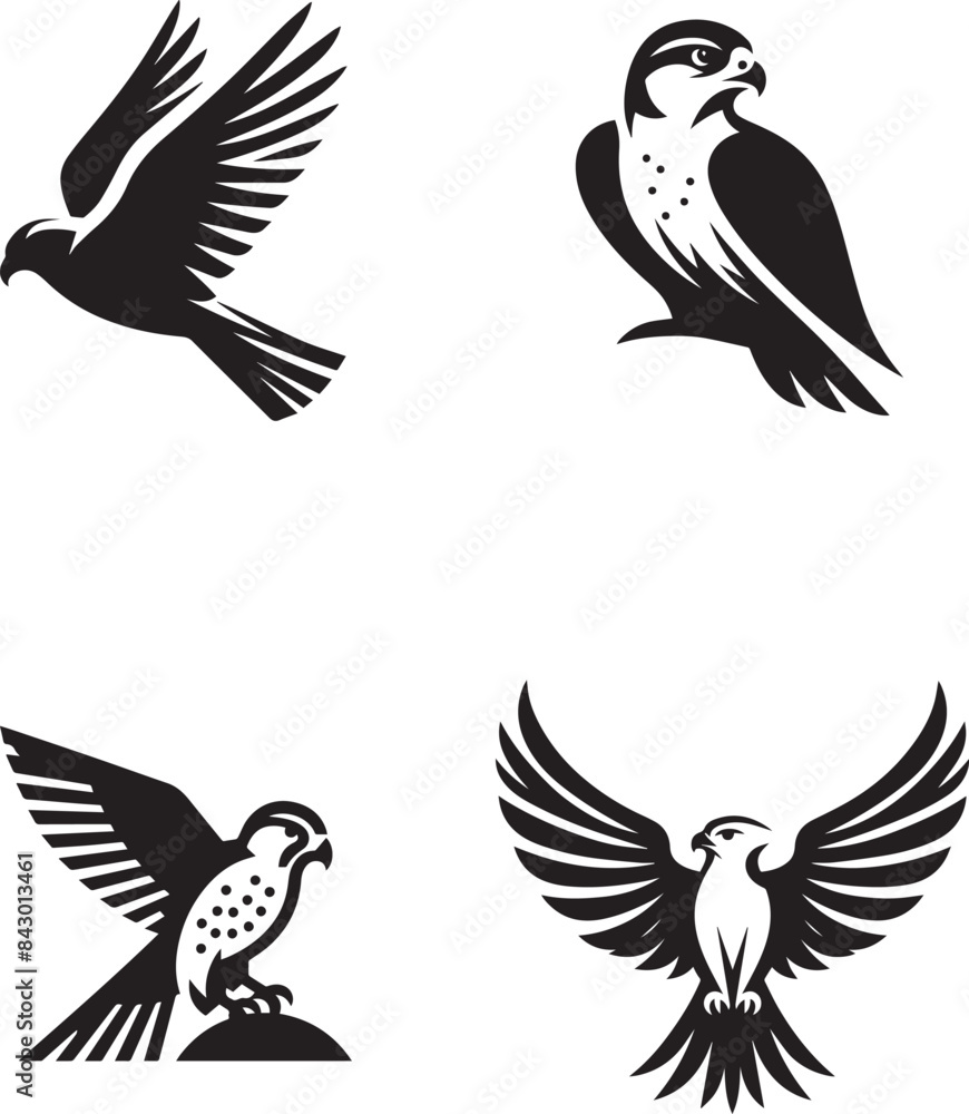 Obraz premium falcon bird silhouette vector