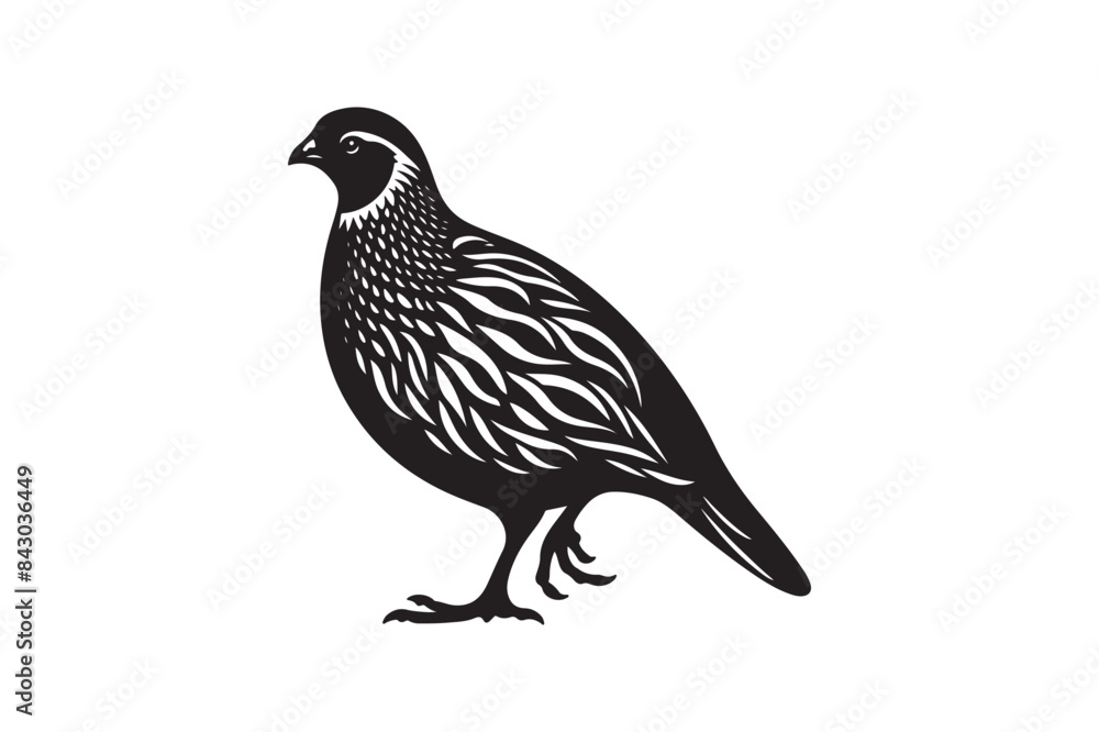 A quail silhouette in vector style A quail silhouette in vector style