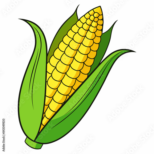 ear of corn