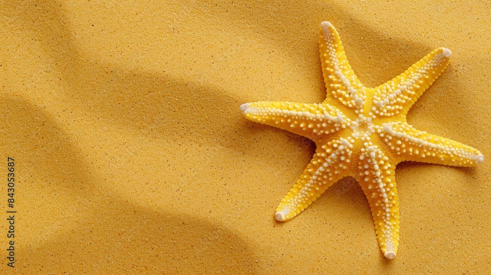 A yellow starfish rests atop a sun-kissed, yellow sand speckled with tiny white dots Its shadow casts below, formed by the sunlight A yellow starfish rests atop a sun-kissed, yellow sand speckled with tiny white dots Its shadow casts below, formed by the sunlight