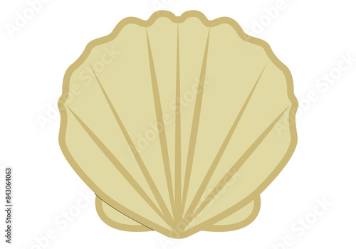 Concha de color amarillo en fondo blanco