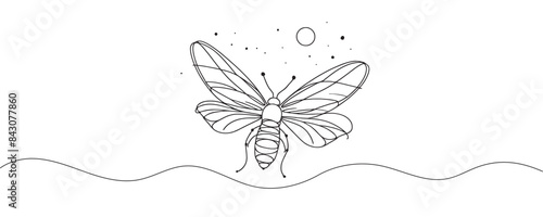 graphic illustration of a firefly beetle, bug in one line. line drawing