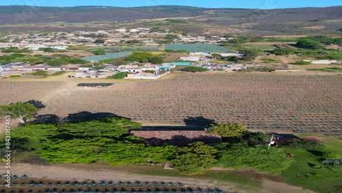 Vertical video advancing on a field in Gomez Farias town photo