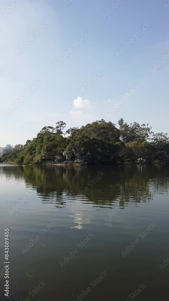 Ibirapuera Park on a beautiful sunny day. Vertical video Ibirapuera Park on a beautiful sunny day. Vertical video
