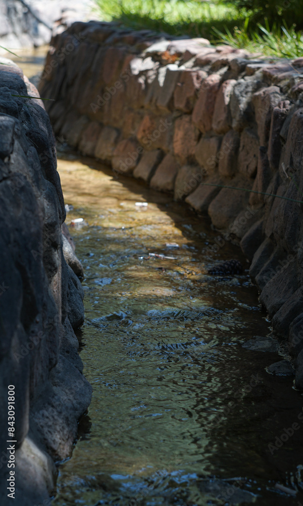 the water of the stream flows between the tree branches