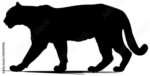 Silhouette of a puma or mountain lion, in black, isolated 