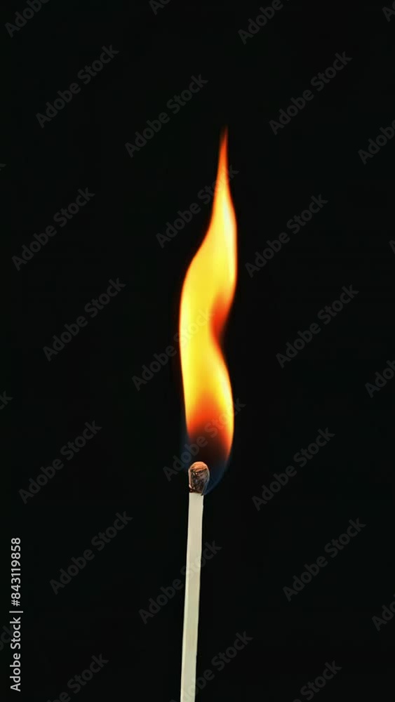 Lit Match with Flame isolated on Dark Background. Burning Matchstick with Flame on Black. Fire, Light, and Energy Concept. seamless loop video, 4k Lit Match with Flame isolated on Dark Background. Burning Matchstick with Flame on Black. Fire, Light, and Energy Concept. seamless loop video, 4k