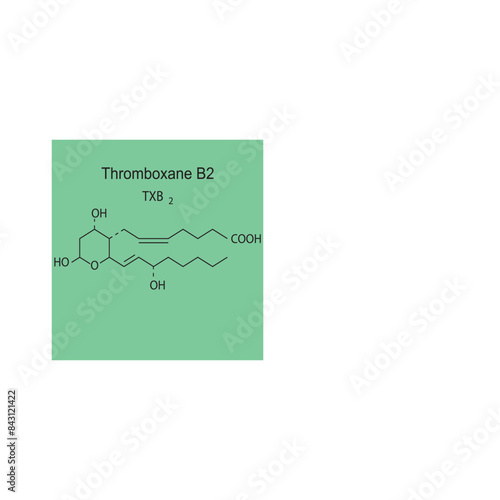Thromboxane B2 skeletal structure diagram.Prostanoid compound molecule scientific illustration on green background.