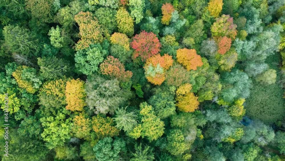 Aerial Autumn View of Trees in Verkiai Regional Park. Vilnius, Lithuania Aerial Autumn View of Trees in Verkiai Regional Park. Vilnius, Lithuania