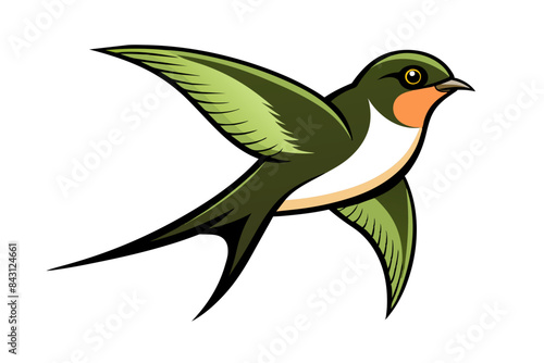 Barn Swallow different style vector illustration line art 