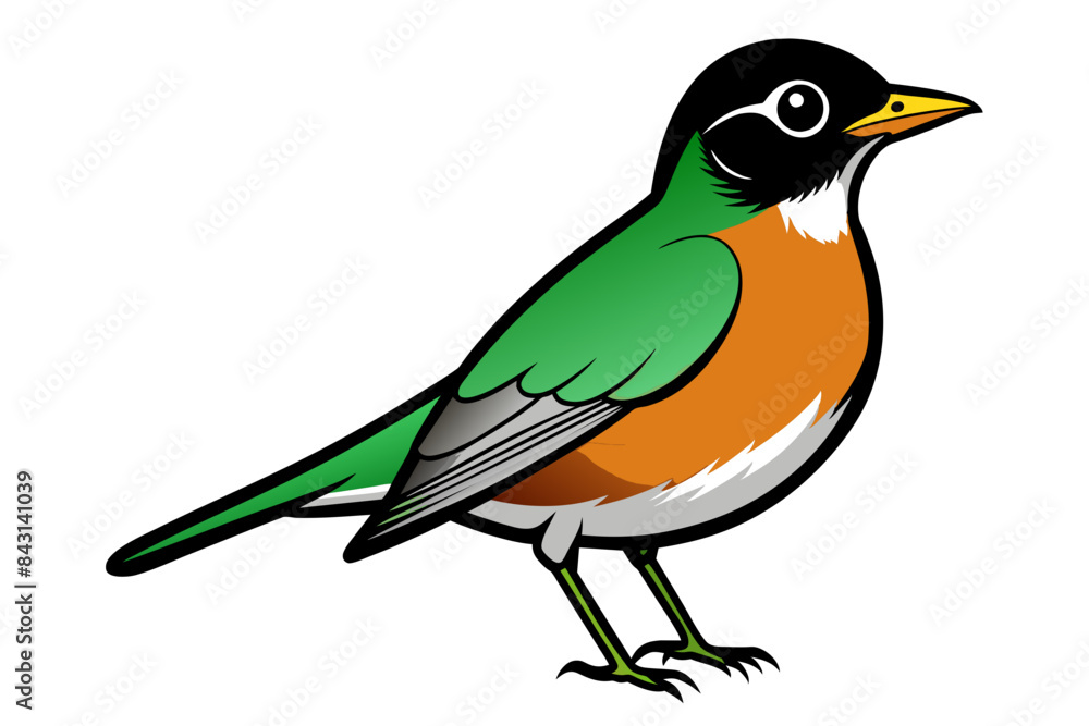 American Robin different style vector illustration line art American Robin different style vector illustration line art