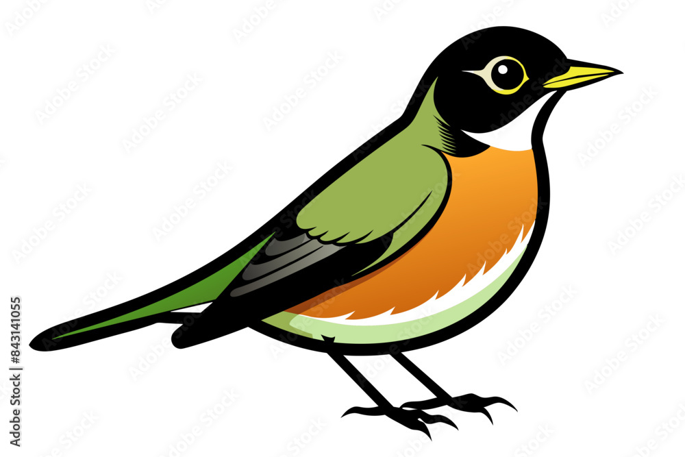 American Robin different style vector illustration line art American Robin different style vector illustration line art