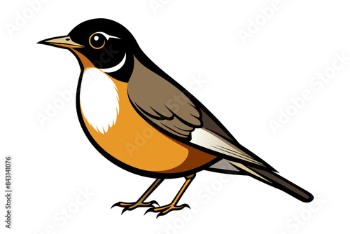 American Robin different style vector illustration line art