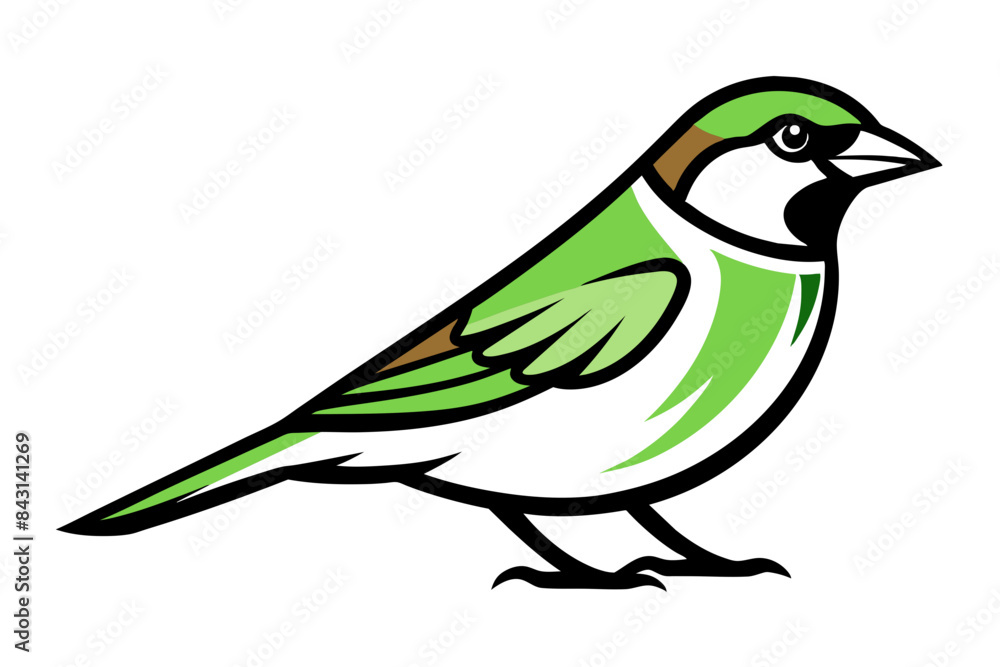 House Sparrow different style vector illustration line art House Sparrow different style vector illustration line art