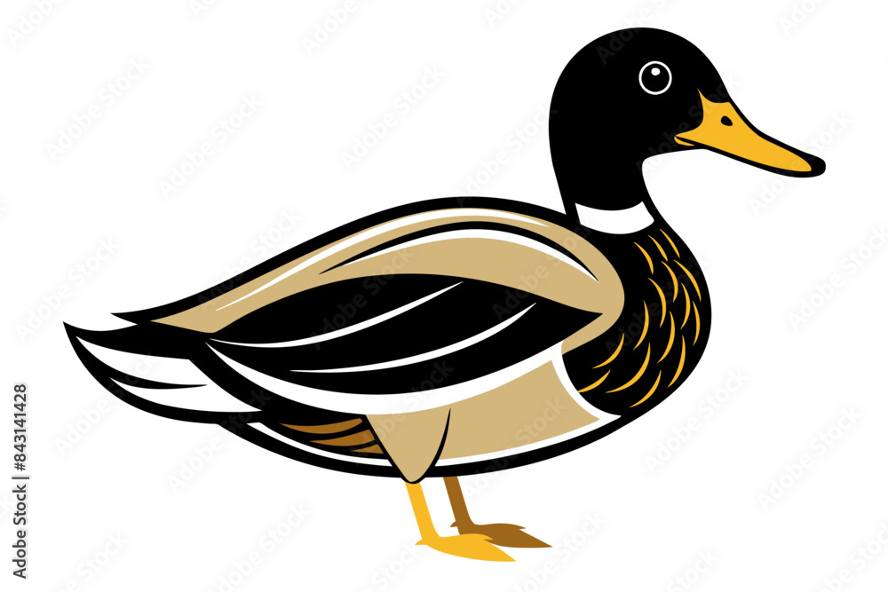 Mallard Duck different style vector illustration line art Mallard Duck different style vector illustration line art