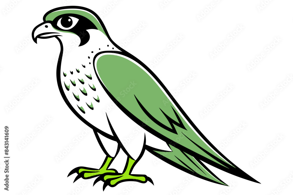 Obraz premium Red-tailed Hawk different style vector illustration line art