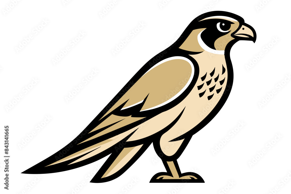 Fototapeta premium Red-tailed Hawk different style vector illustration line art