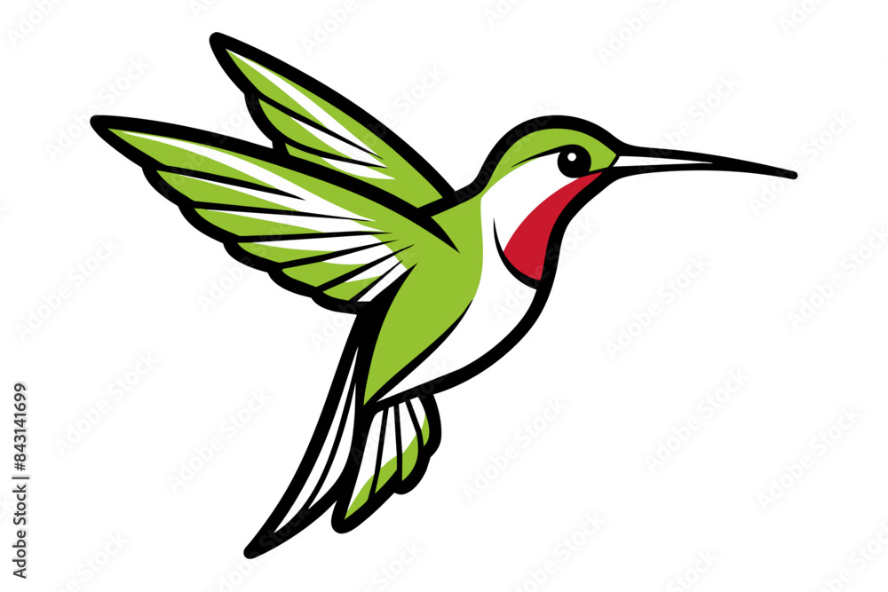 Obraz premium Ruby-throated Hummingbird different style vector illustration line art