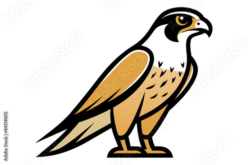 Red-tailed Hawk different style vector illustration line art © Rashed Rana