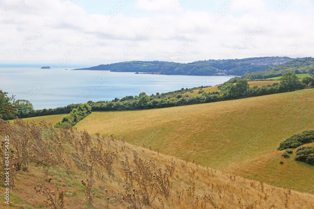 Coast of South Devon above Maidencombe Coast of South Devon above Maidencombe