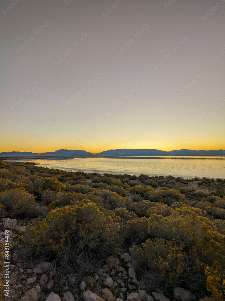 Obraz premium Sunrise Hiking Views of Antelope Island State Park Utah Bison 